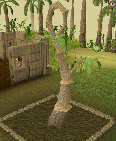 File:Calquat8.png