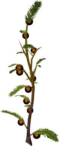 File:Cocoaberry bush.png