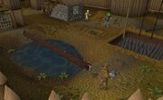 Barbarian course