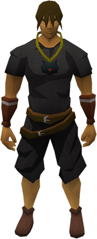 File:Catspeak amulet equipped.png