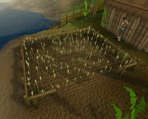 File:Crop circle.png