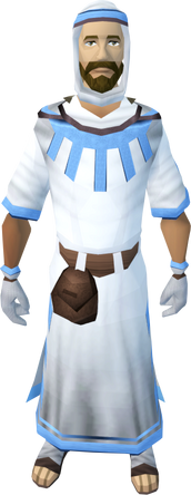 File:Hallowed robes equipped.png