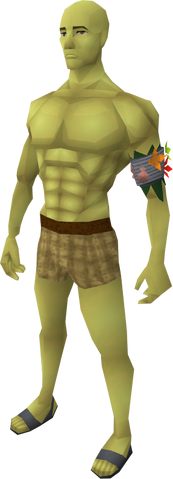 File:Yellow skin equipped.png