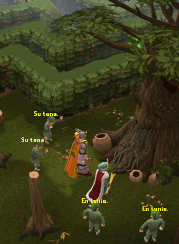 File:Tree gnome ceremony.gif