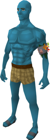 File:Saradomin blue skin equipped.png
