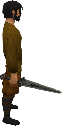 File:Iron longsword equipped.png