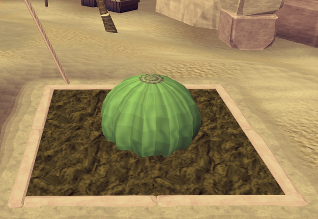 File:Potato cactus4.png
