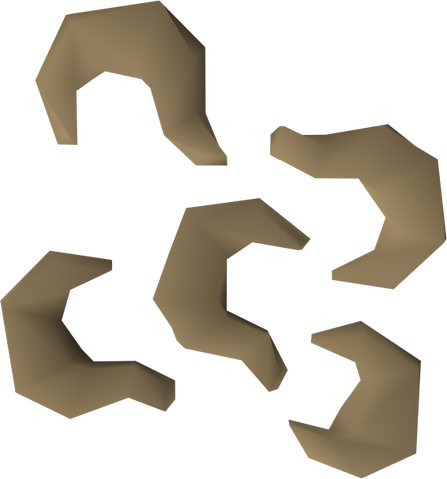 File:Nasturtium seed detail.png