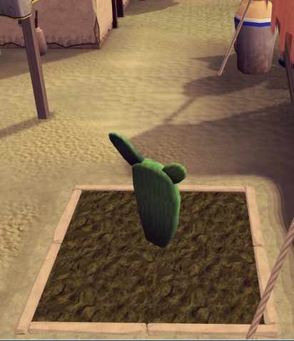 File:Prickly pear6.png