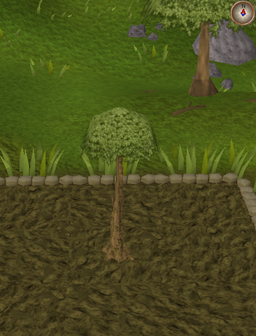 File:Spirit tree5.png