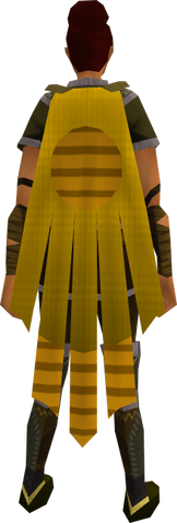 File:Team-18 cape equipped.png