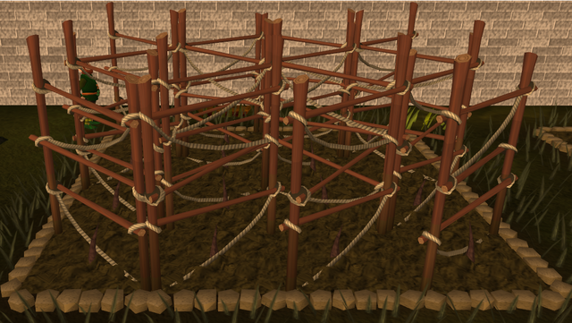 File:Grapevine 1.png