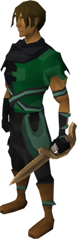 File:Bronze defender equipped.png