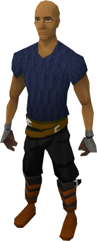 File:Iron gauntlets equipped.png