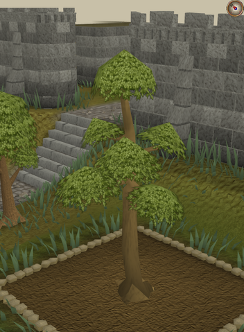 File:Yew5.png