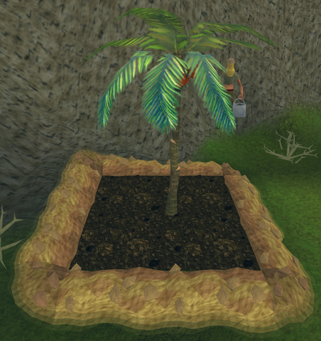 File:Palm7.png