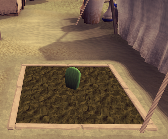 File:Prickly pear2.png