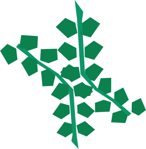 File:Seaweed detail.png