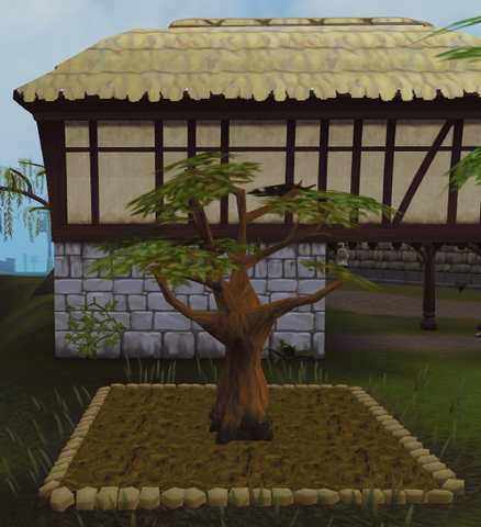 File:Oak3.png