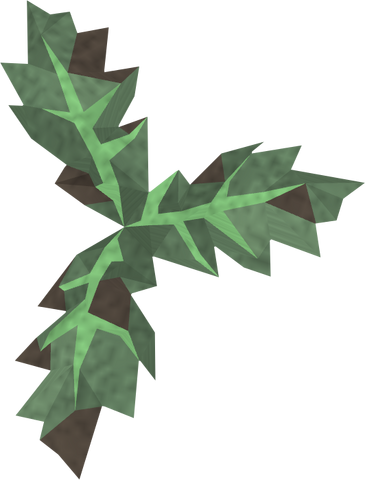 File:Grimy aloe detail.png