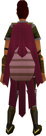 File:Team-7 cape equipped.png