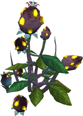 File:Protea flowers.png