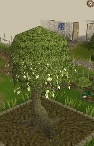 File:Magic8.png