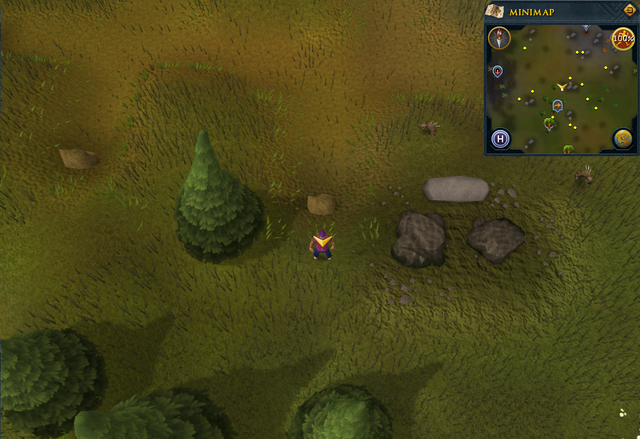File:Scan clue Piscatoris Hunter area north of fairy ring.png