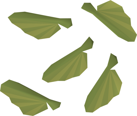 File:Maple seed detail.png