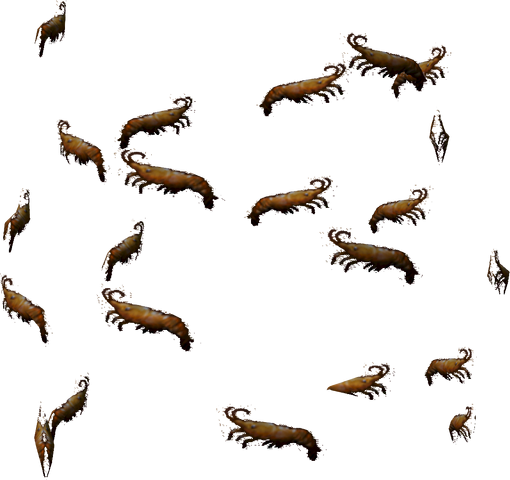 File:Shrimp.png