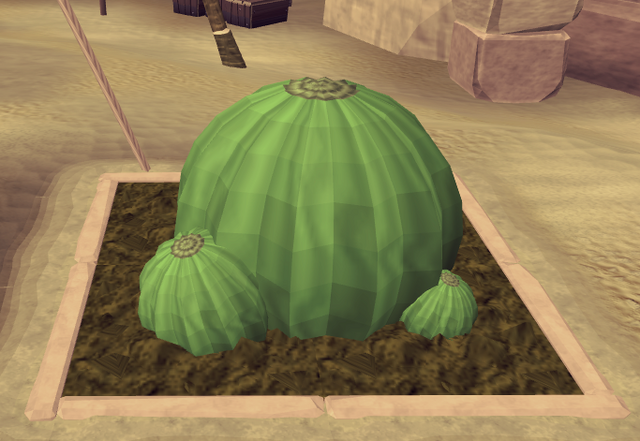 File:Potato cactus6.png