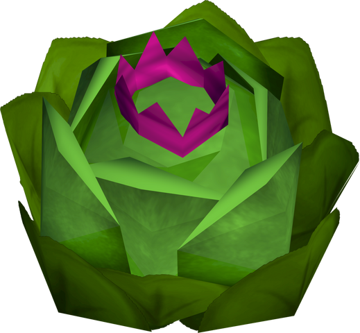 File:Crispy the cabbage detail.png