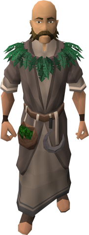 File:Druid (Battle of Lumbridge).png