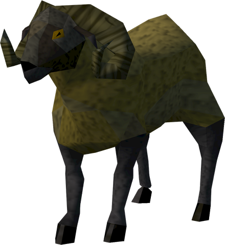 File:Golden sheep sheared.png