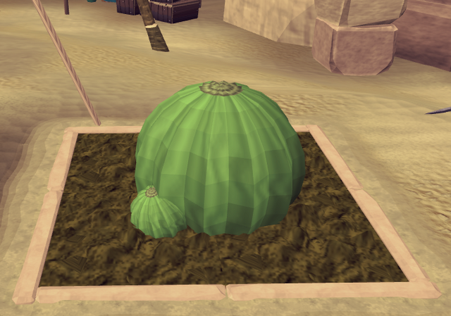 File:Potato cactus5.png