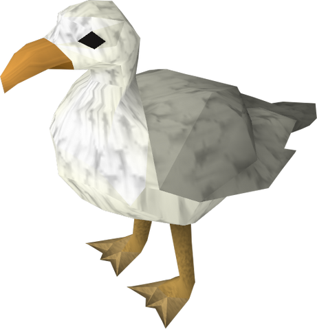 File:Seagull.png
