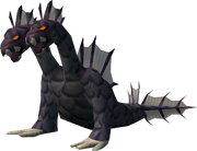Hydra