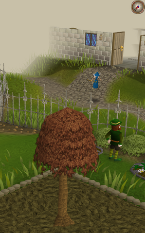 File:Maple5.png
