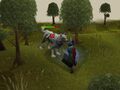 Thumbnail for version as of 19:35, January 17, 2011
