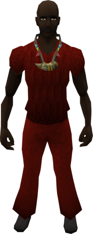 File:Amulet of zealots equipped.png