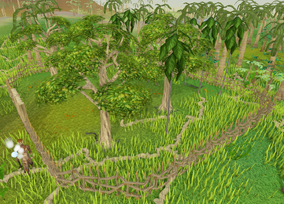 Hardwood grove