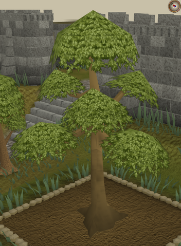 File:Yew8.png