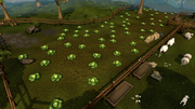 Lumbridge cabbage patch
