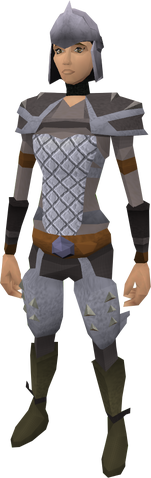 File:Steel helm equipped.png