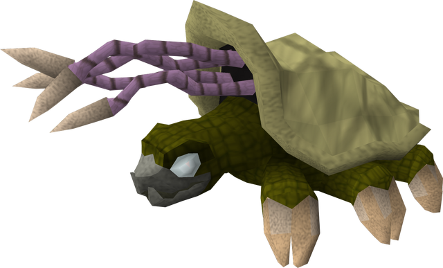 File:Warped tortoise.png