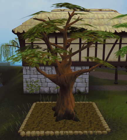 File:Oak4.png