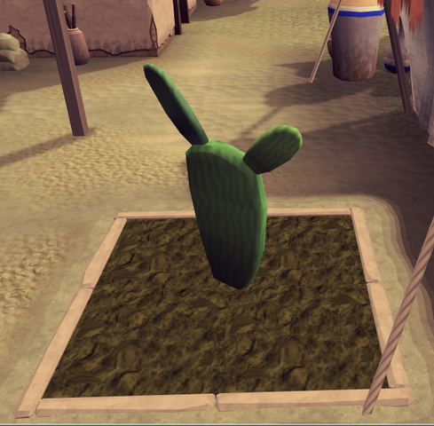 File:Prickly pear7.png