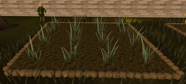 File:Reeds2.png