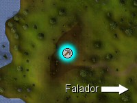 檔案:Falador site.jpg