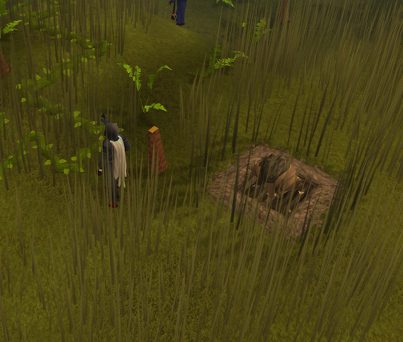 File:Catching a Broav.png